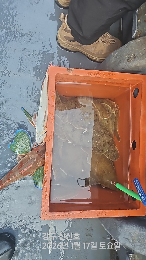 신신낚시 강구점 신신호_사진_20260117_3.jpg