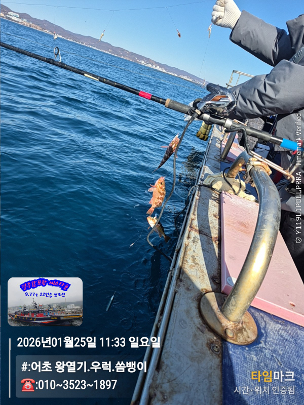 2026-01-25 11.33.19__(#-어초 왕열기.우럭.쏨뱅이)_(-010~3523~1897).jpg