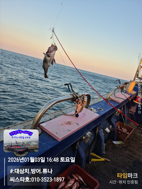 2026-01-03 16.48.06__(#-대삼치.방어.튜나)_(씨스타호-010-3523-1897).jpg