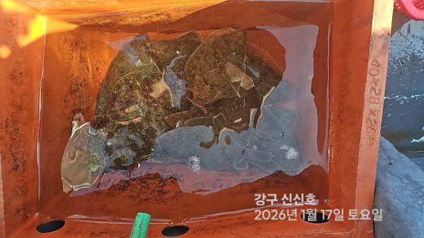 신신낚시 강구점 신신호_사진_20260117_7.jpg