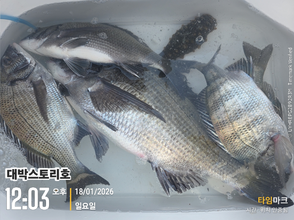 2026-01-18 12.03.54__(대박스토리호).jpg