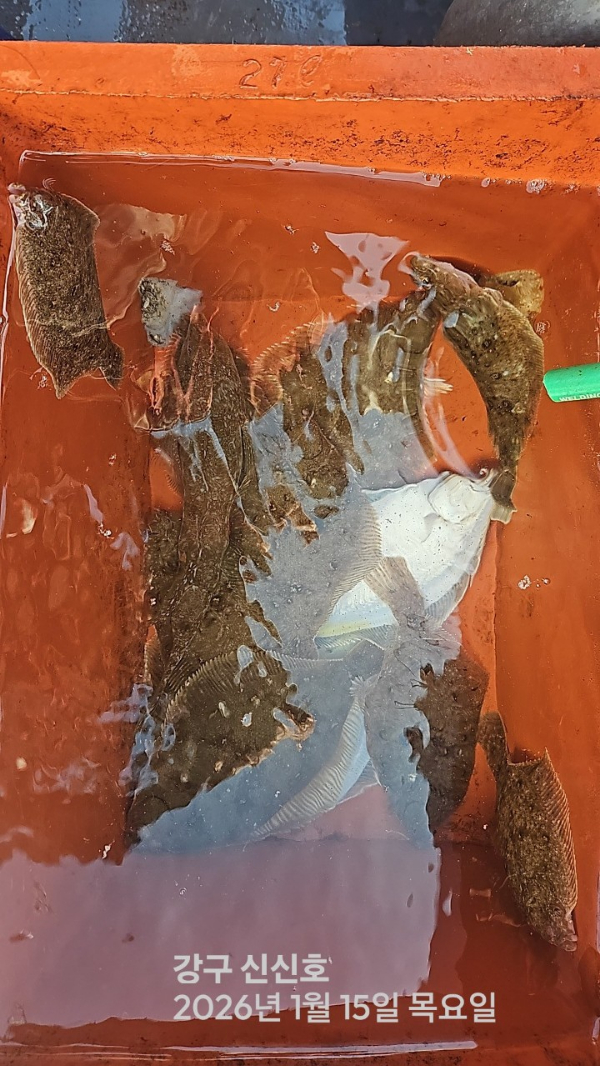 신신낚시 강구점 신신호_사진_20260115_6.jpg