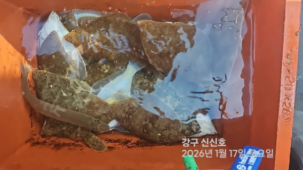 신신낚시 강구점 신신호_사진_20260117_10.jpg