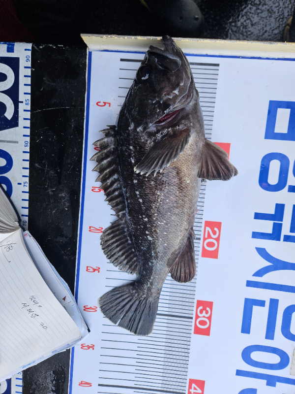 1월18 3호 (11).jpg