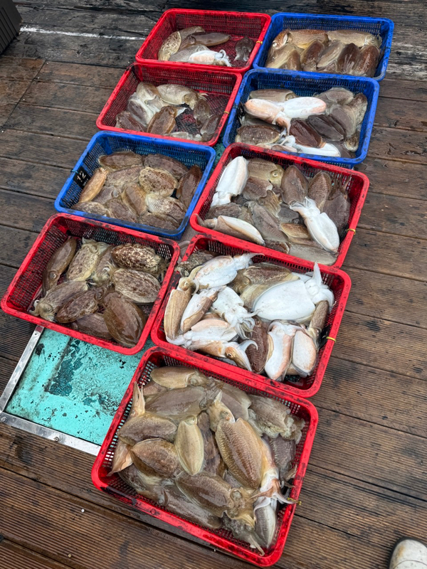 제주 쏘니호_사진_20260105_11.jpg