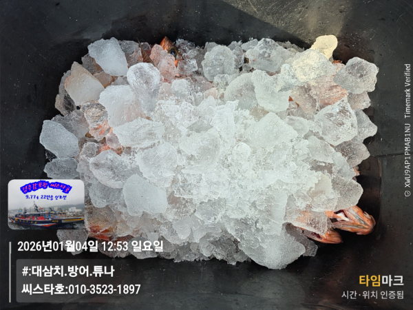 2026-01-04 12.53.33__(#-대삼치.방어.튜나)_(씨스타호-010-3523-1897).jpg