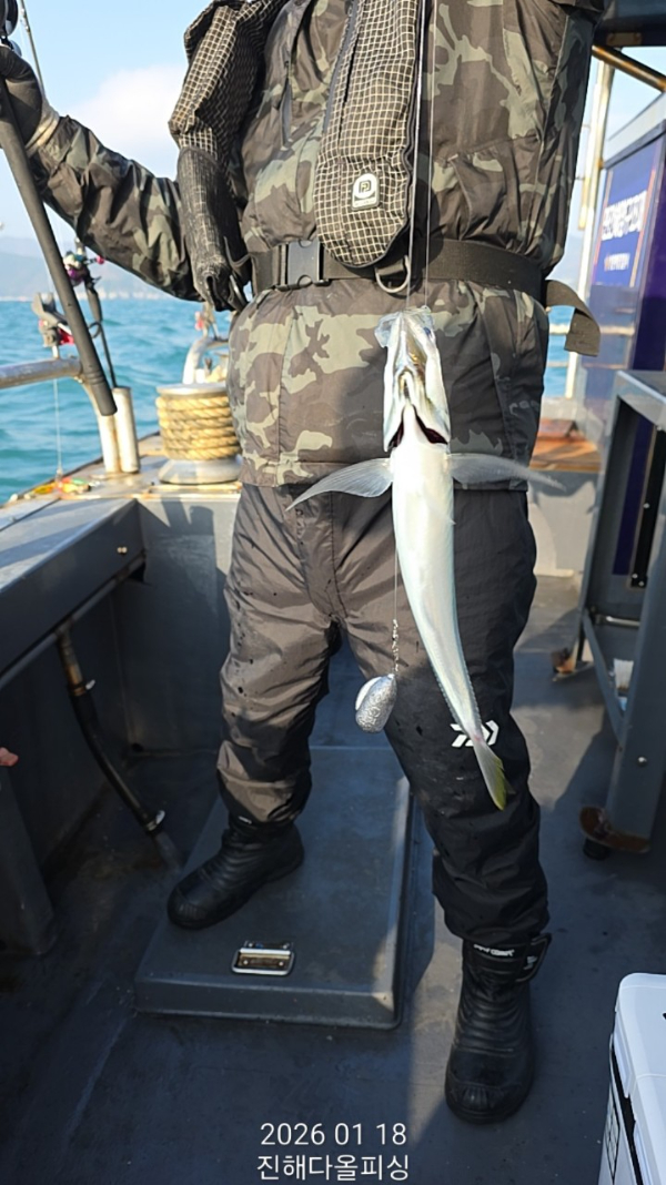 ☆진해 다올피싱☆문어 갈치 선상 낚시_사진_20260119_5.jpg