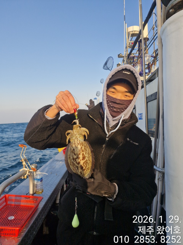 제주왔어호_사진_20260129_22.jpg