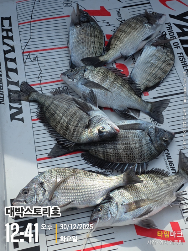 2025-12-30 12.41.49__(대박스토리호).jpg