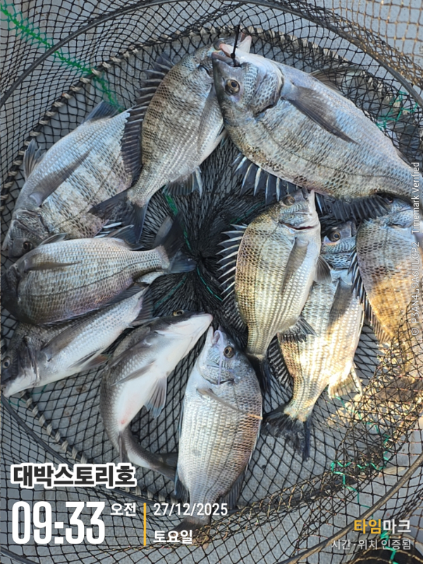 2025-12-27 09.33.33__(대박스토리호).jpg