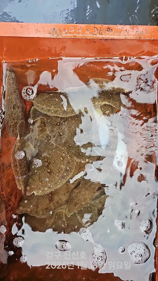 신신낚시 강구점 신신호_사진_20260118_13.jpg