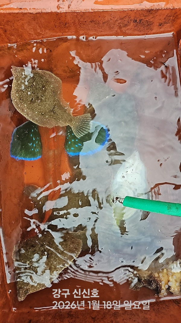 신신낚시 강구점 신신호_사진_20260118_8.jpg