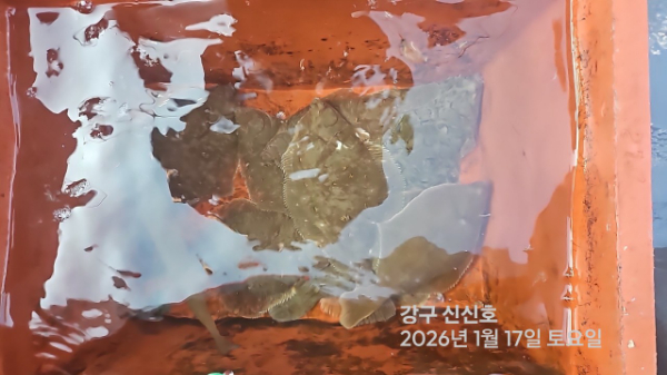 신신낚시 강구점 신신호_사진_20260117_12.jpg