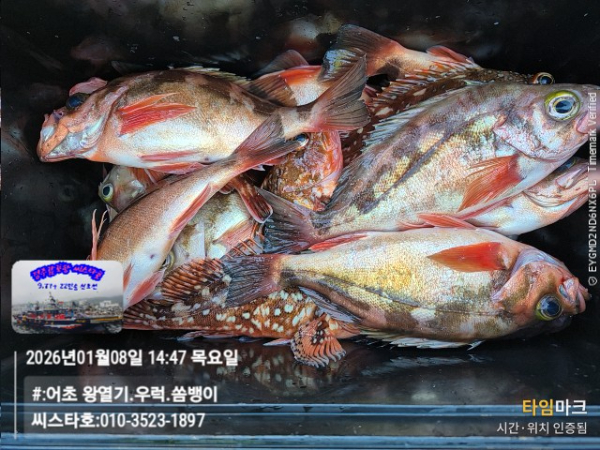 2026-01-08 14.47.06__(#-어초 왕열기.우럭.쏨뱅이)_(씨스타호-010-3523-1897).jpg