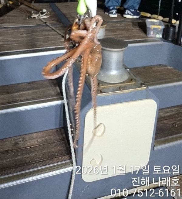 진해 나래호(문어,낙지,갈치)_사진_20260120_4.jpg