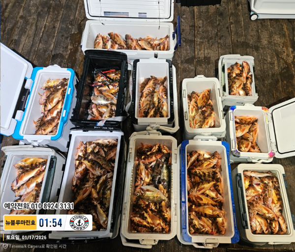 2026-01-17 01.54.54(1)_대한민국_(제목-뉴블루마린호)_(예약전화 010 8924 3131).jpg