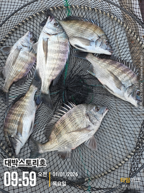 2026-01-01 09.59.34__(대박스토리호).jpg