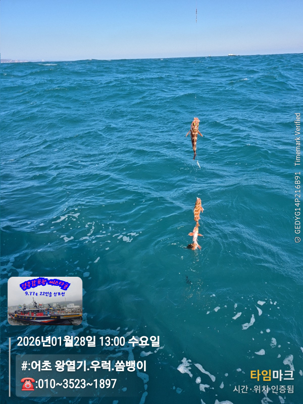 2026-01-28 13.00.01__(#-어초 왕열기.우럭.쏨뱅이)_(-010~3523~1897).jpg