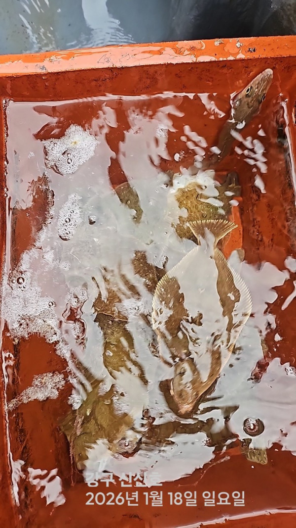 신신낚시 강구점 신신호_사진_20260118_9.jpg