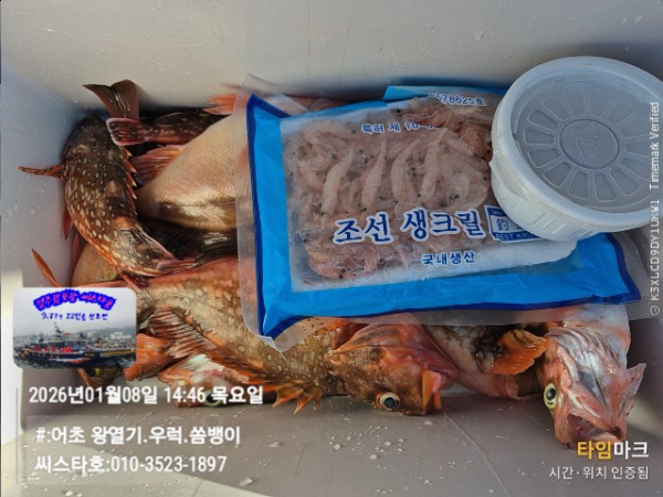 2026-01-08 14.46.45__(#-어초 왕열기.우럭.쏨뱅이)_(씨스타호-010-3523-1897).jpg