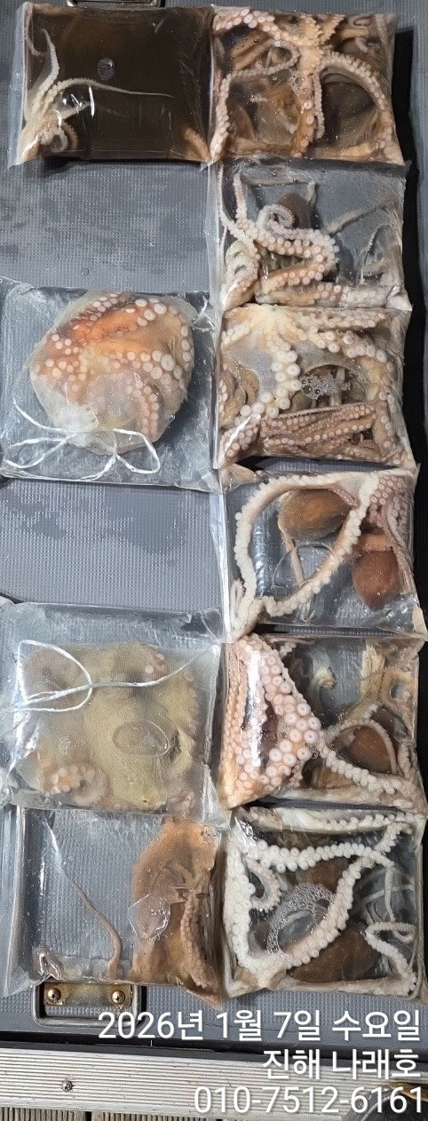 진해 나래호(문어,낙지,갈치)_사진_20260109_1.jpg