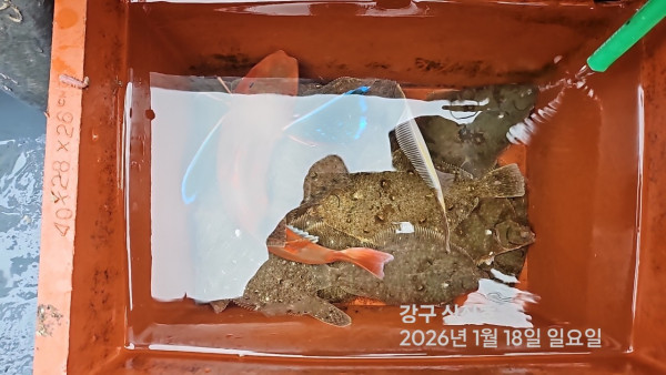 신신낚시 강구점 신신호_사진_20260118_12.jpg