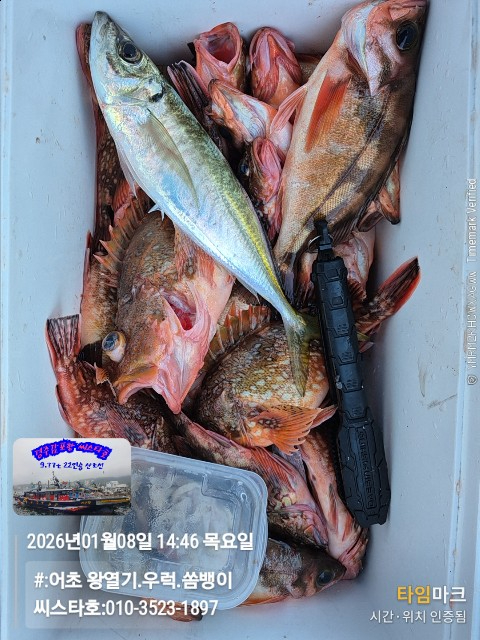 2026-01-08 14.46.34__(#-어초 왕열기.우럭.쏨뱅이)_(씨스타호-010-3523-1897).jpg