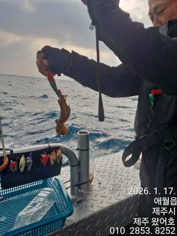제주왔어호_사진_20260117_32.jpg