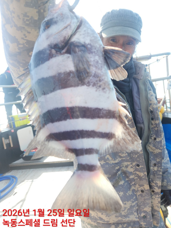쎄븐피싱클럽(선상 버스출조전문)_사진_20260126_14.jpg