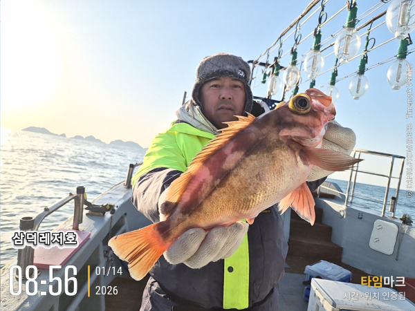 2026-01-14 08.56.47_.jpg