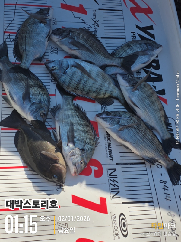 2026-01-02 01.15.58__(대박스토리호).jpg