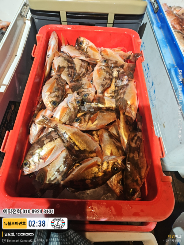 2025-12-28 02.38.06_대한민국_(제목-뉴블루마린호)_(예약전화 010 8924 3131).jpg