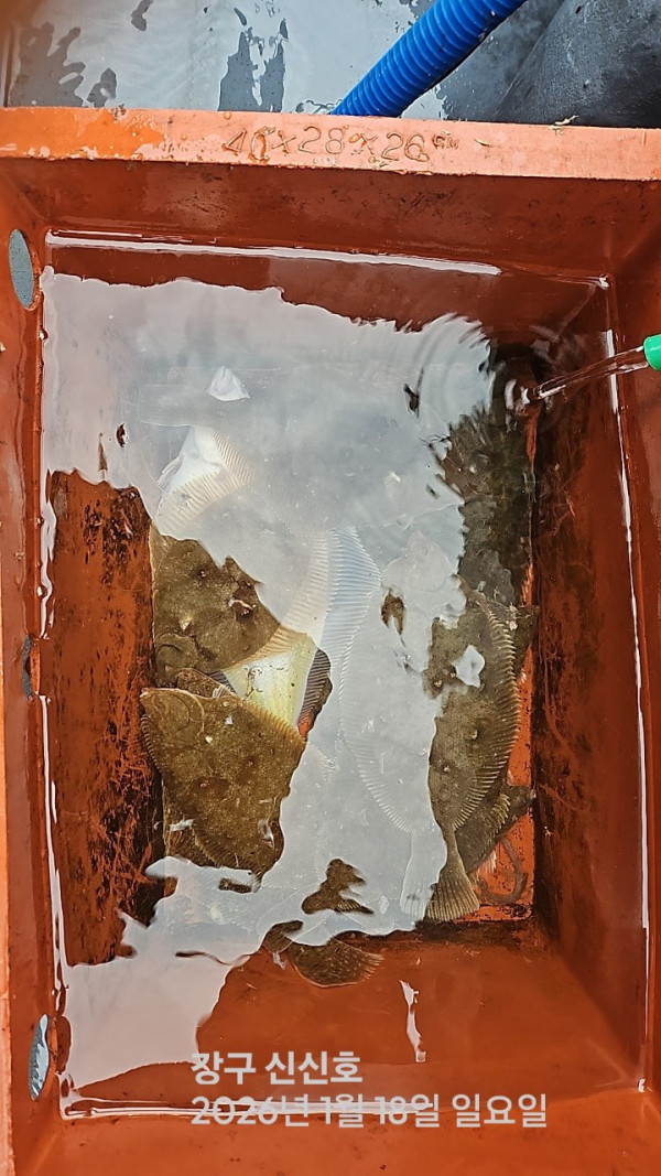 신신낚시 강구점 신신호_사진_20260118_5.jpg