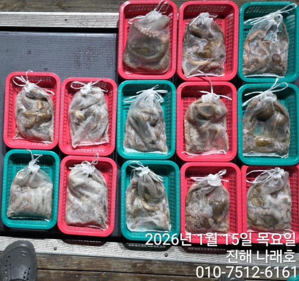 진해 나래호(문어,낙지,갈치)_사진_20260115_18.jpg