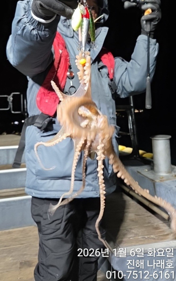 진해 나래호(문어,낙지,갈치)_사진_20260107_10.jpg