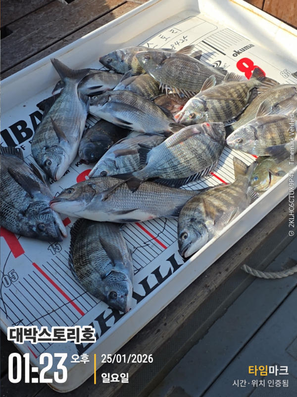 2026-01-25 01.23.59__(대박스토리호).jpg
