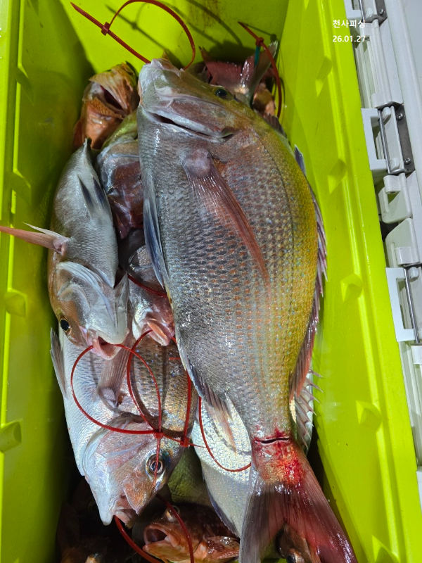 1004피싱_사진_20260128_13.jpg