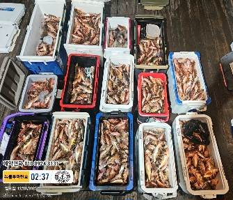 2025-12-28 02.37.07_대한민국_(제목-뉴블루마린호)_(예약전화 010 8924 3131).jpg