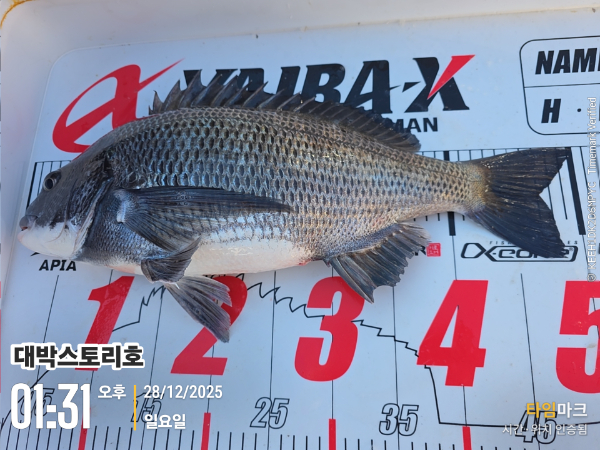 2025-12-28 01.31.02__(대박스토리호).jpg