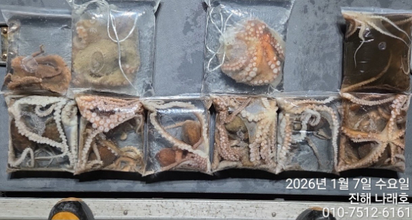 진해 나래호(문어,낙지,갈치)_사진_20260107_17.jpg