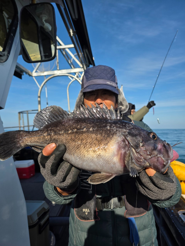 ꫛꫀꪝ✧‧˚ 태안 마검포 新출항호 .• _˚☀₊_사진_20260107_3.jpg