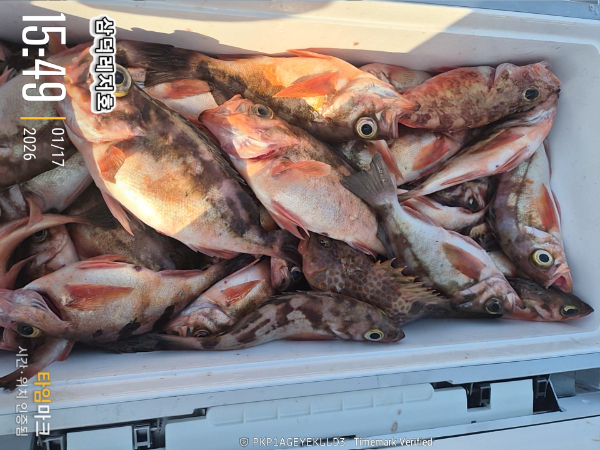 2026-01-17 15.49.44_.jpg