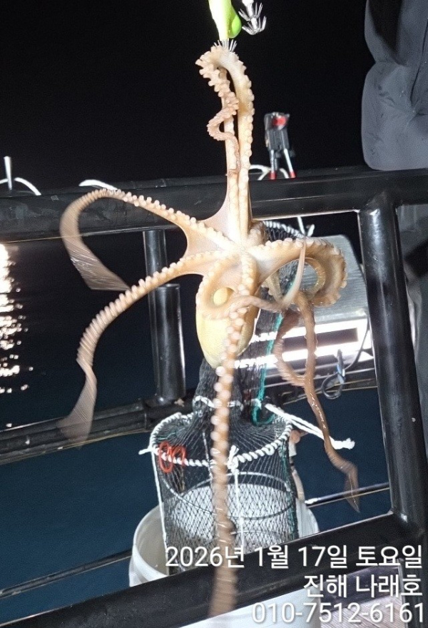 진해 나래호(문어,낙지,갈치)_사진_20260120_1.jpg