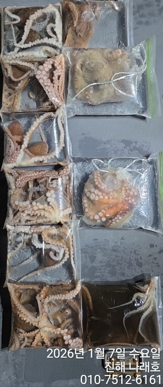 진해 나래호(문어,낙지,갈치)_사진_20260107_18.jpg