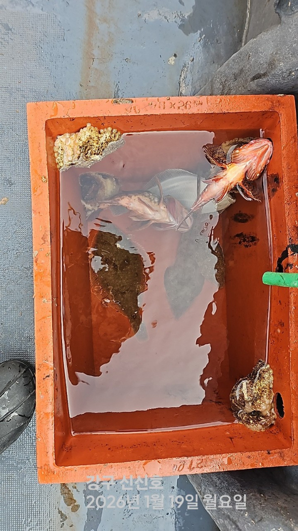 신신낚시 강구점 신신호_사진_20260119_6.jpg