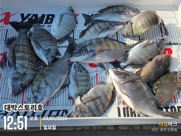 2026-01-04 12.51.46__(대박스토리호).jpg