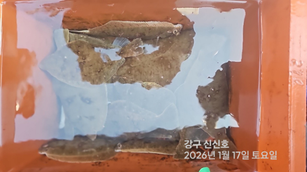 신신낚시 강구점 신신호_사진_20260117_16.jpg