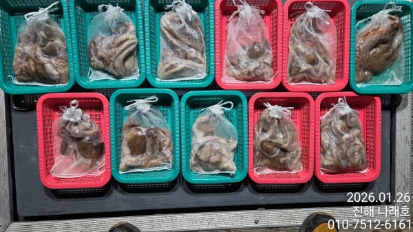 진해 나래호(문어,낙지,갈치)_사진_20260126_23.jpg