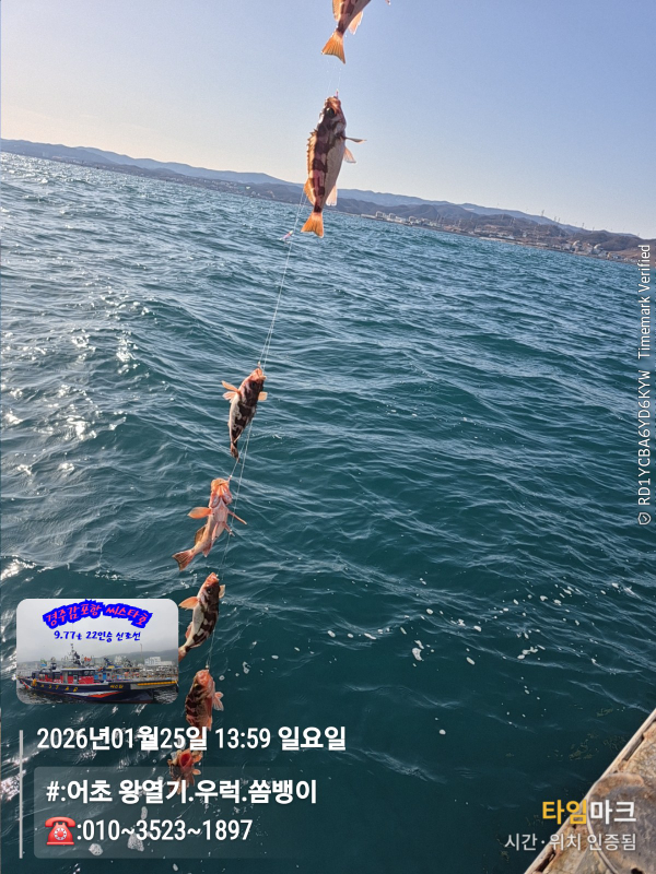 2026-01-25 13.59.00__(#-어초 왕열기.우럭.쏨뱅이)_(-010~3523~1897).jpg