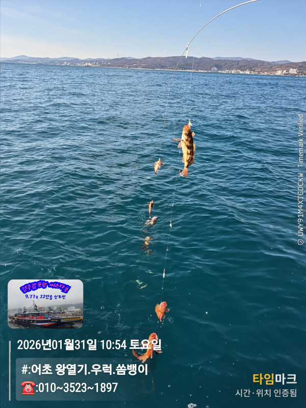 2026-01-31 10.54.12__(#-어초 왕열기.우럭.쏨뱅이)_(-010~3523~1897).jpg